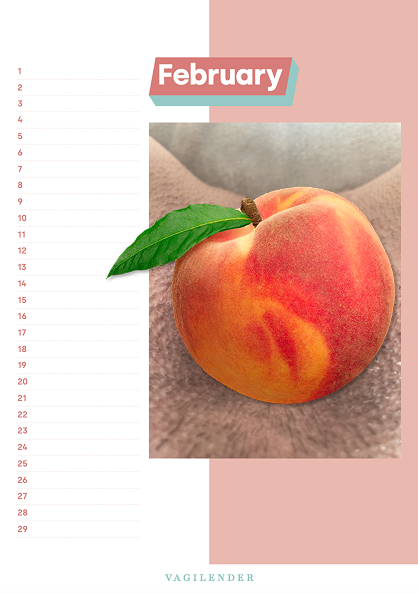 Birthday edition Vagilender